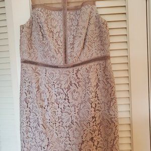 Adrianna Papell Sleeveless Lace Dress 12 Blush Color